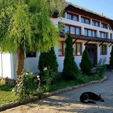 Casa Cu Flori Murighiol Zewnętrze zdjęcie