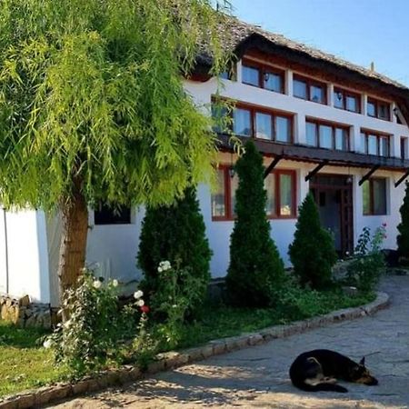 Casa Cu Flori Murighiol Zewnętrze zdjęcie