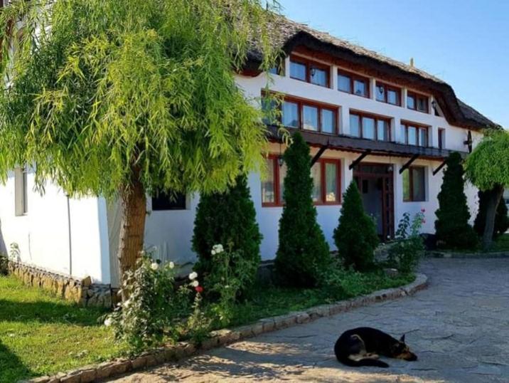 Casa Cu Flori Murighiol Zewnętrze zdjęcie